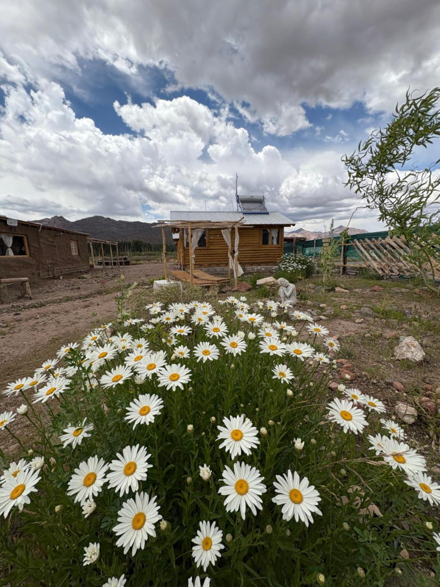 Paramitas Cabanas De Montana Uspallata Bagian luar foto