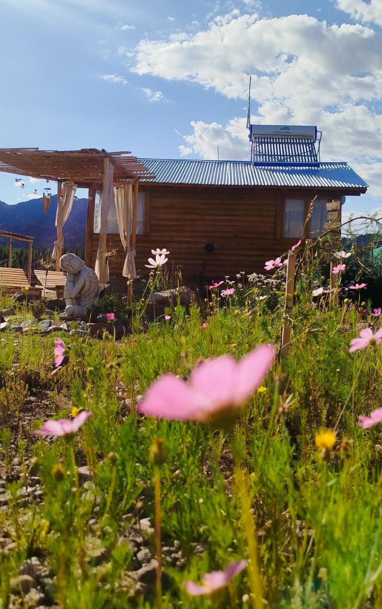 Paramitas Cabanas De Montana Uspallata Bagian luar foto